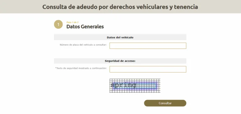 Pago de adeudos vehiculares multas e infracciones en Veracruz