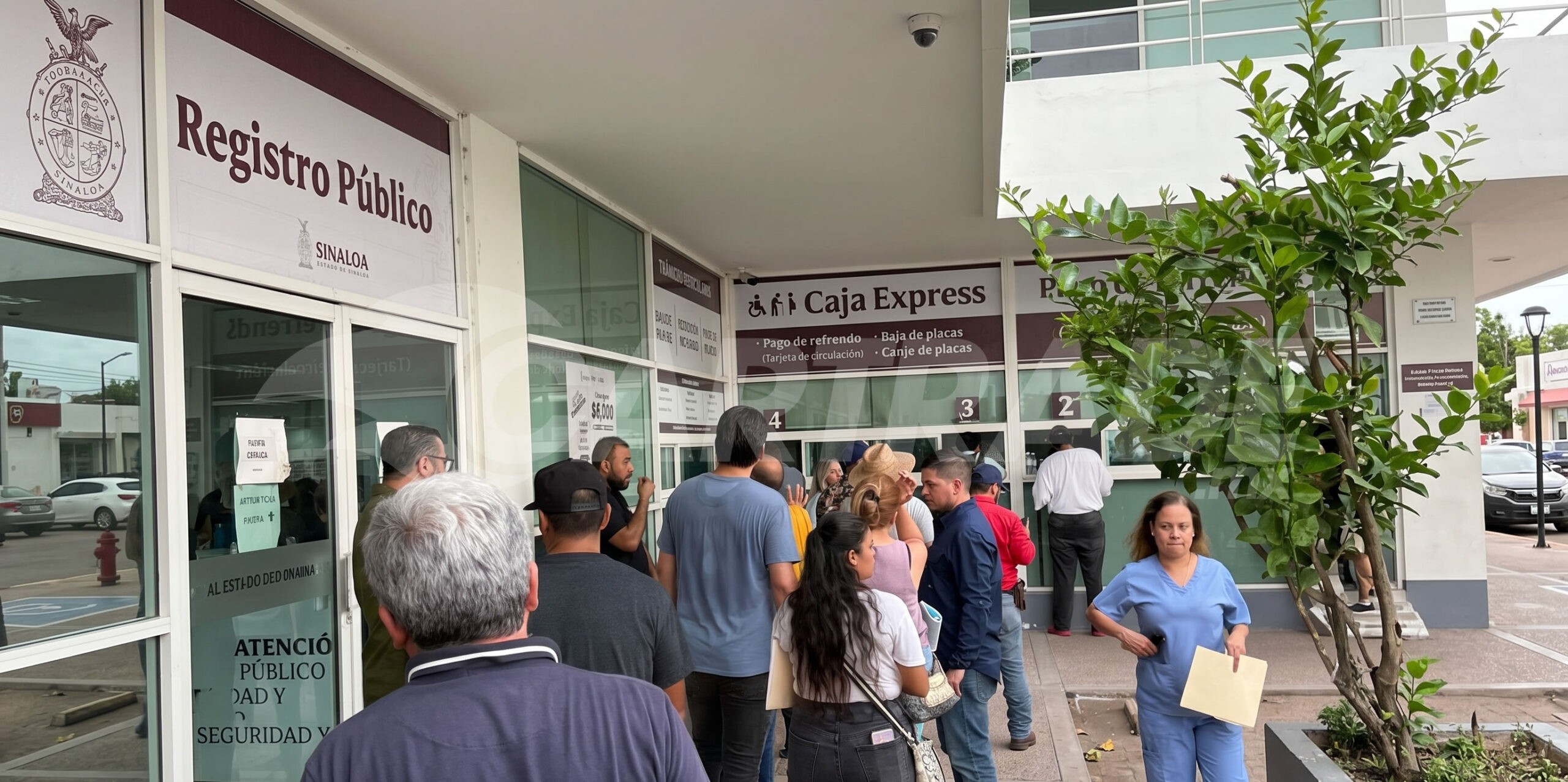 Tenencia vehicular en Sinaloa